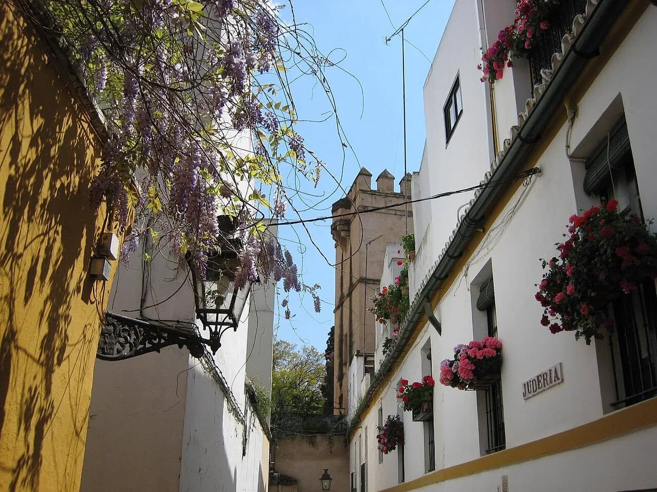 Calle Judería in Seville's Barrio Santa Cruz, a narrow whitewashed lane with wisteria and red flower pots