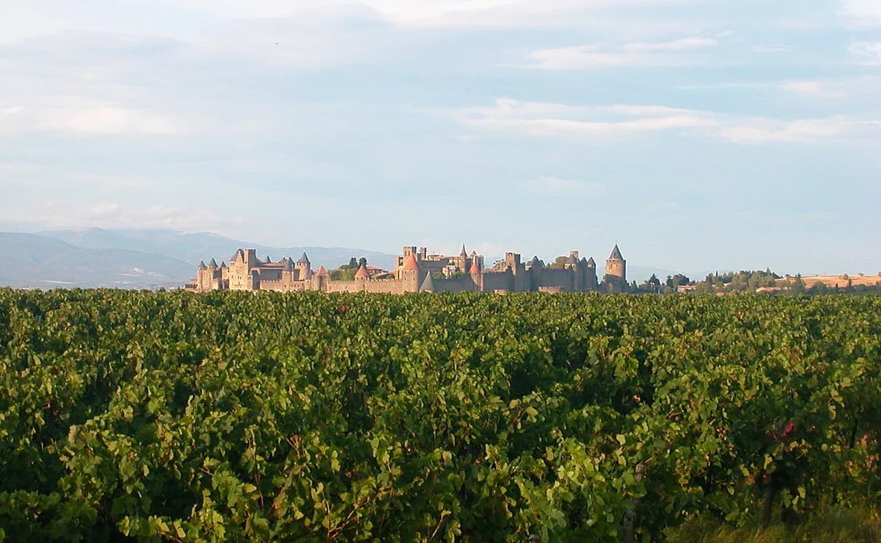 Carcassonne Hotels with a Pool: Cité or Palaja?