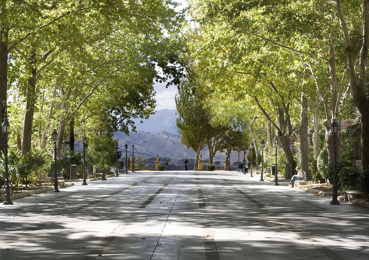 The tree-lined promenade of the Alameda del Tajo in Ronda, with mountains glimpsed at the far end
