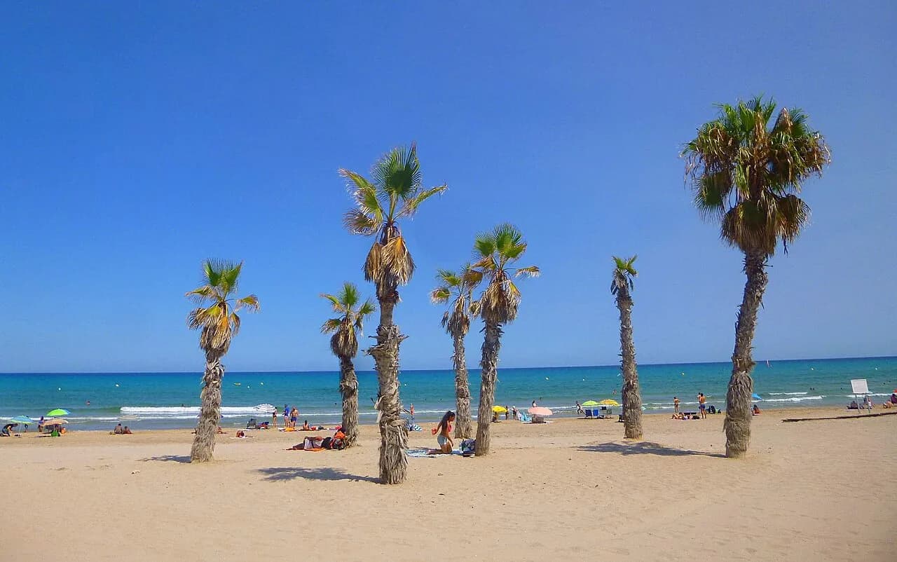Alicante Hotels With Pools: Compare Type and Access