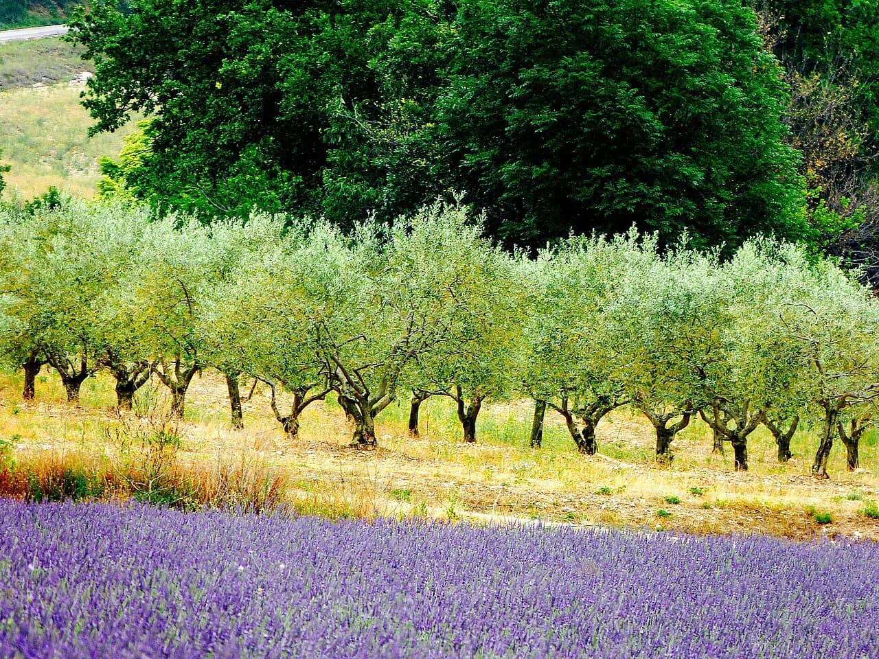 Hotels in the Provence Countryside: Three Property Choices