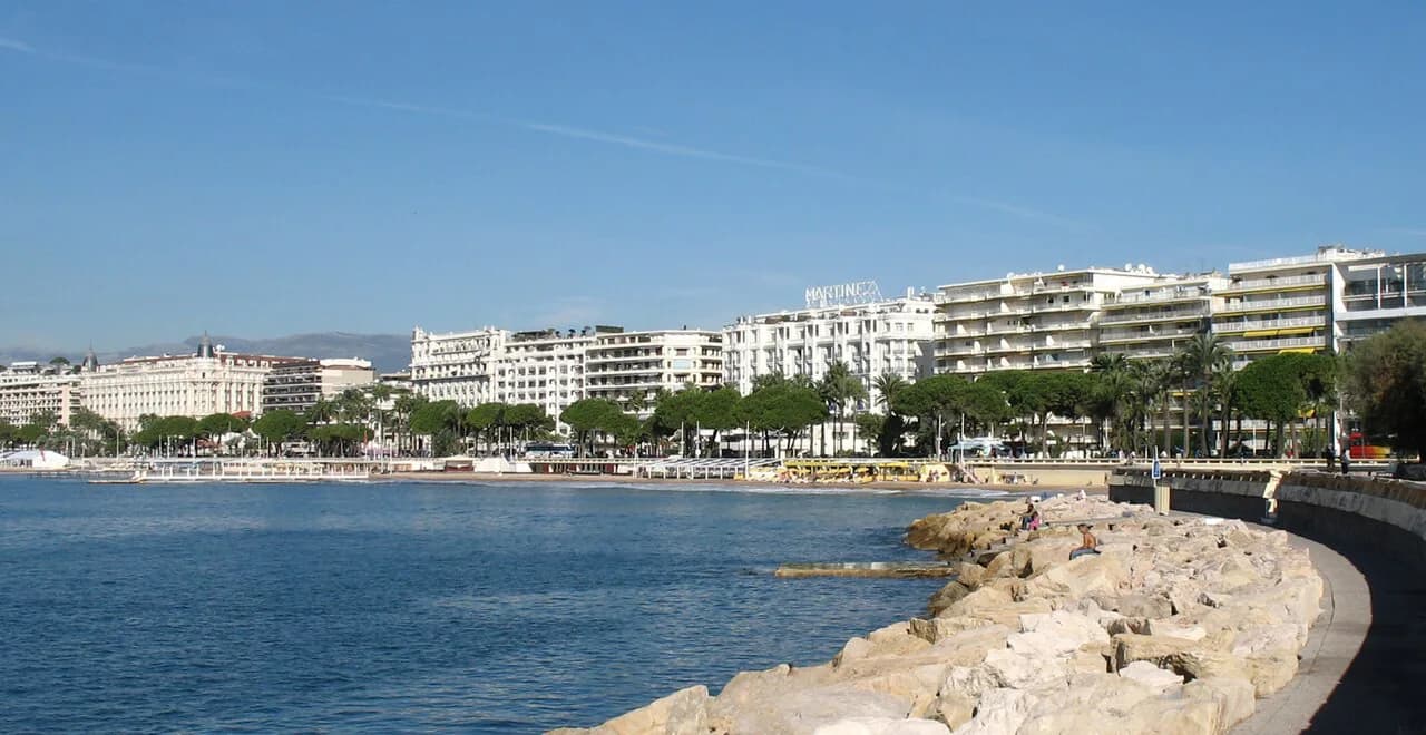 Luxury Hotels in Cannes: Compare Rooms, Suites and Services