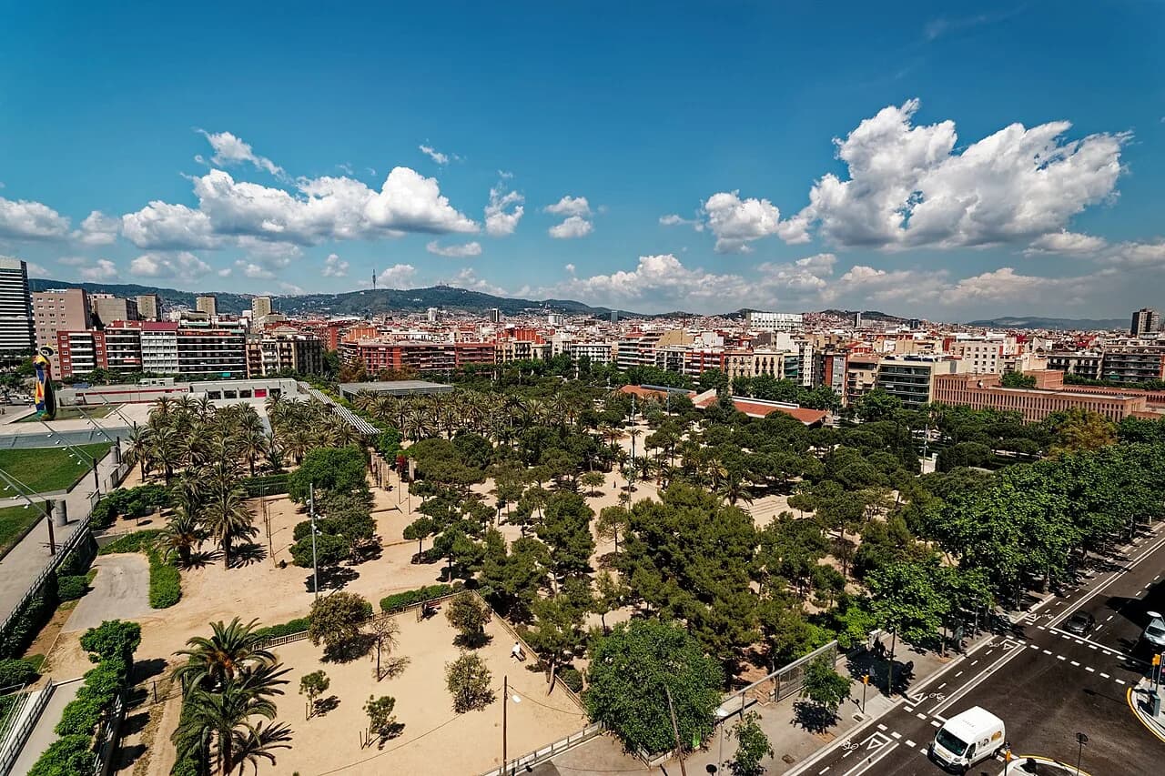 Pet-Friendly Hotels in Barcelona: Dogs, Cats and Rules