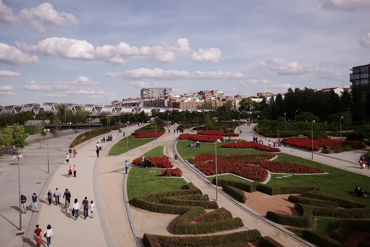 Pet-Friendly Hotels in Madrid: Compare Rules and Rooms