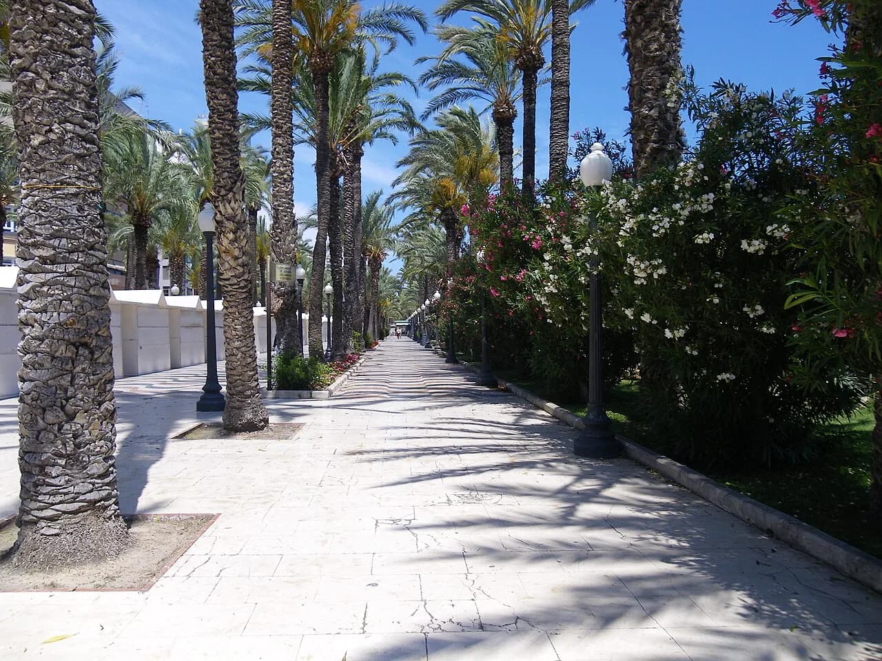 Palm-lined Explanada de España in Alicante