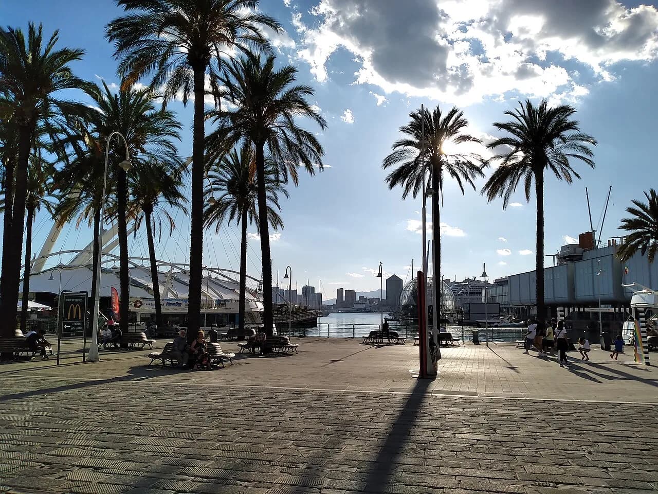 Palm trees along Porto Antico in Genoa