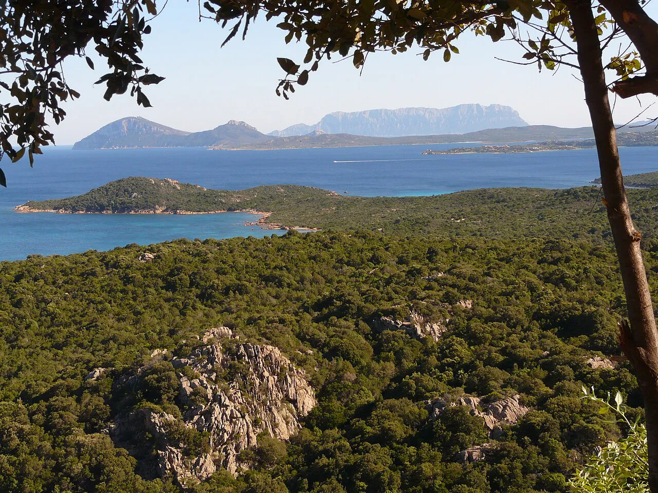 Green maquis-covered hills and blue bays of the Costa Smeralda, with the Tavolara massif on the horizon