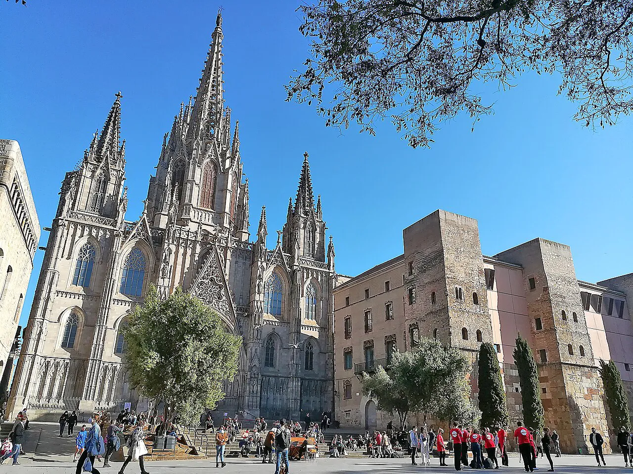 Barcelona Cathedral spires and the broad, level paved square of Avinguda de la Catedral