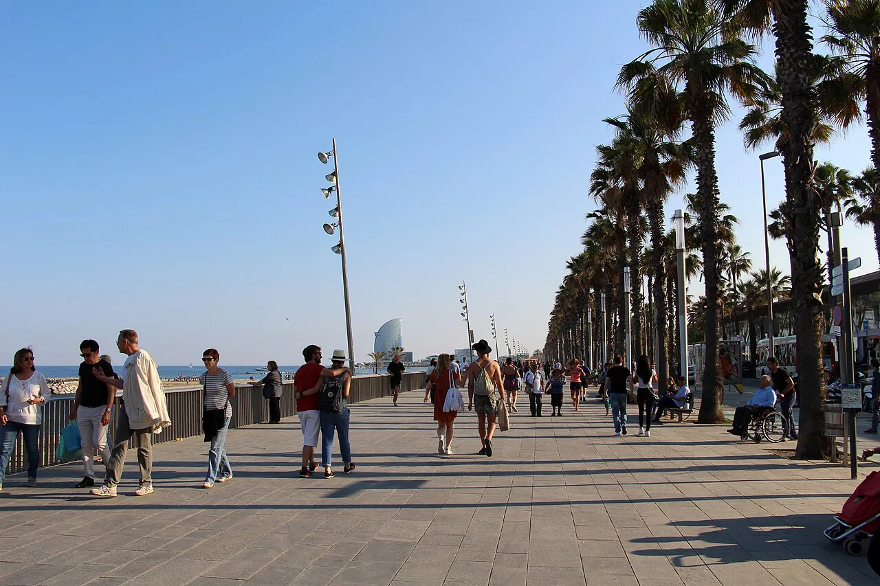 Wide, flat palm-lined Passeig Marítim promenade along the Barceloneta seafront in Barcelona
