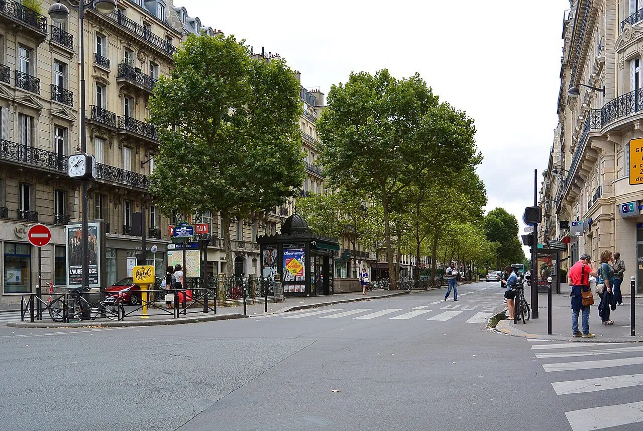Tree-lined Boulevard Raspail with Haussmann-era buildings and a wide pedestrian crossing, Paris