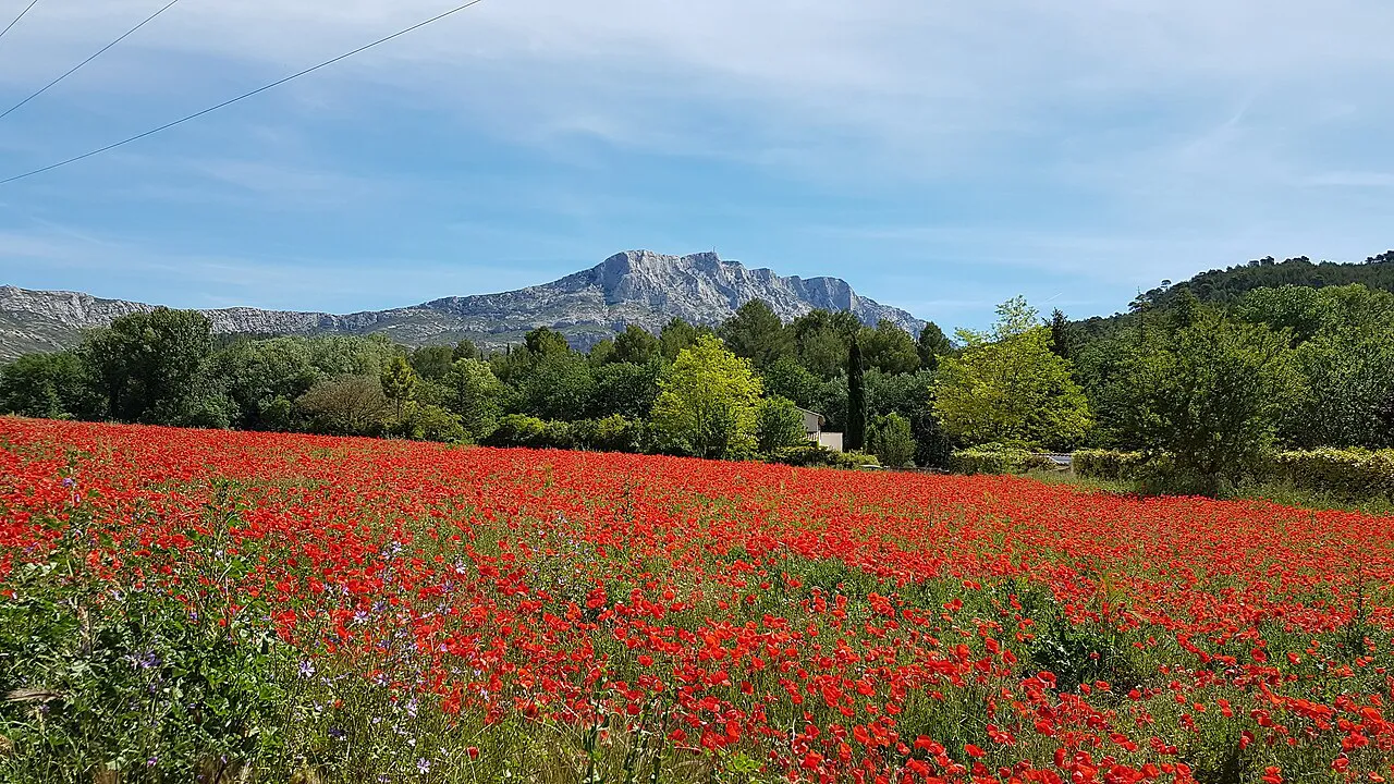 Montagne Sainte-Victoire rising beyond a red poppy field near Aix-en-Provence
