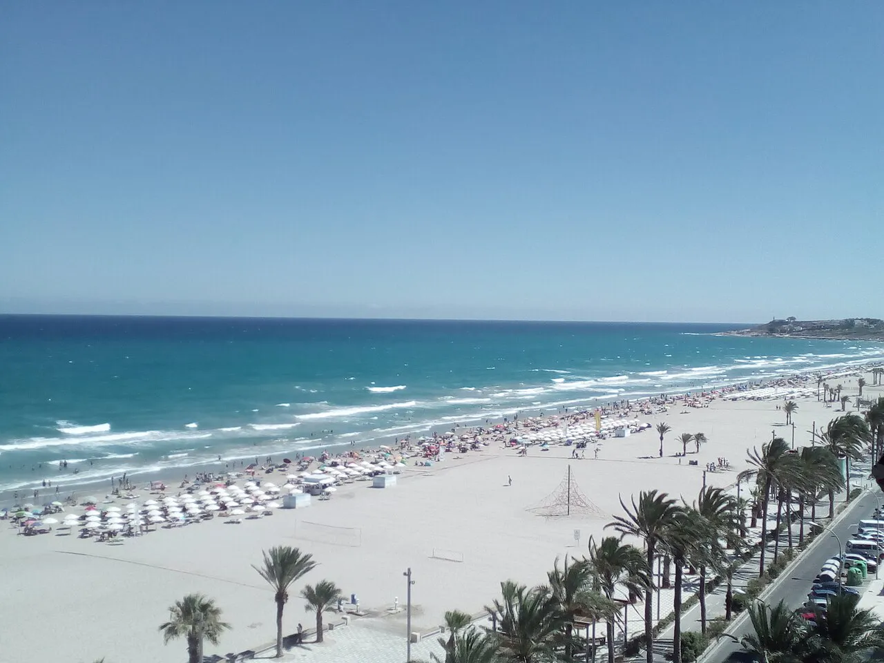 Long sweep of Playa de San Juan in Alicante seen from above, with palms along the shore