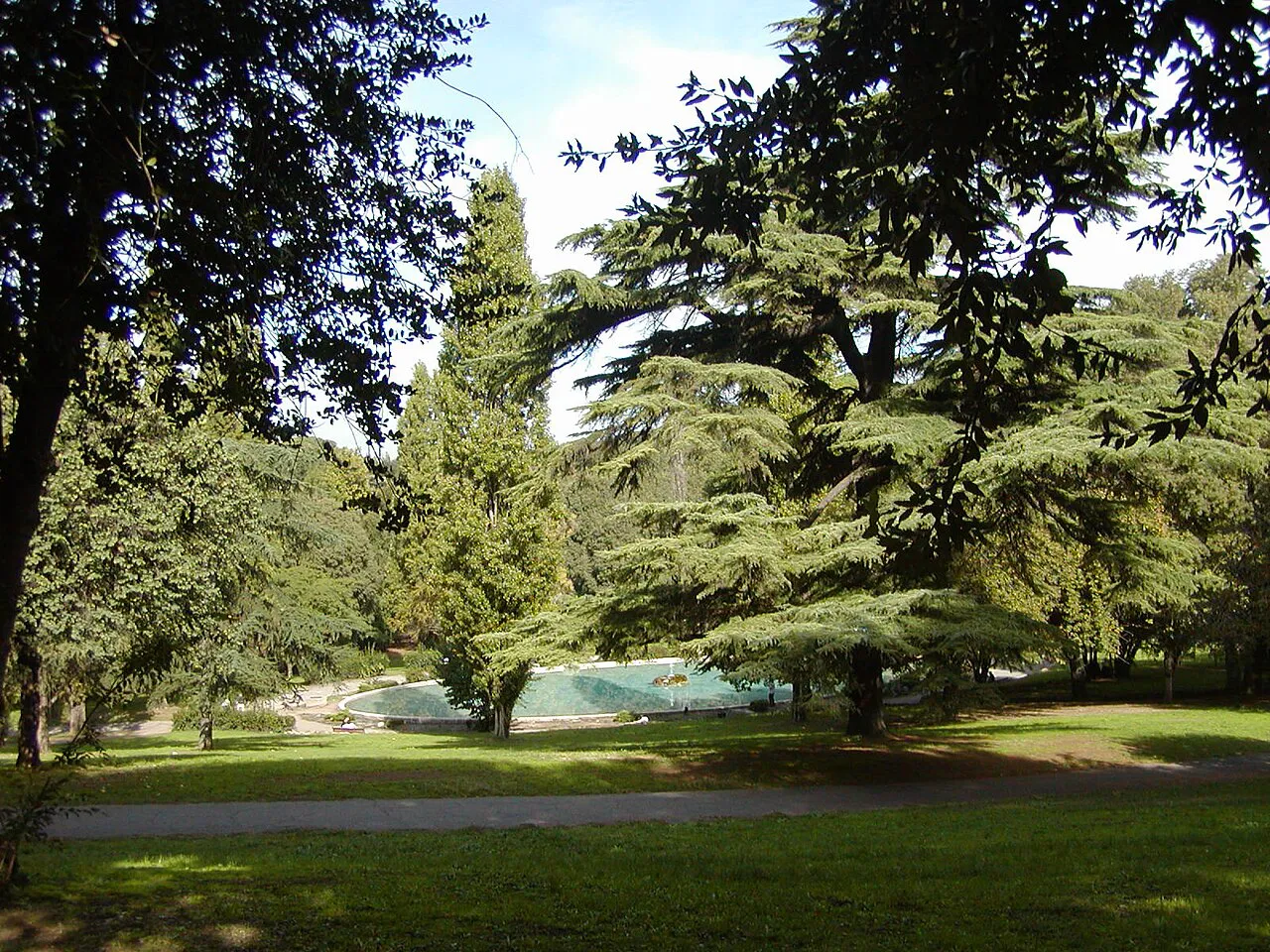Tall pines, cedars and lawns in the Villa Borghese gardens, Rome