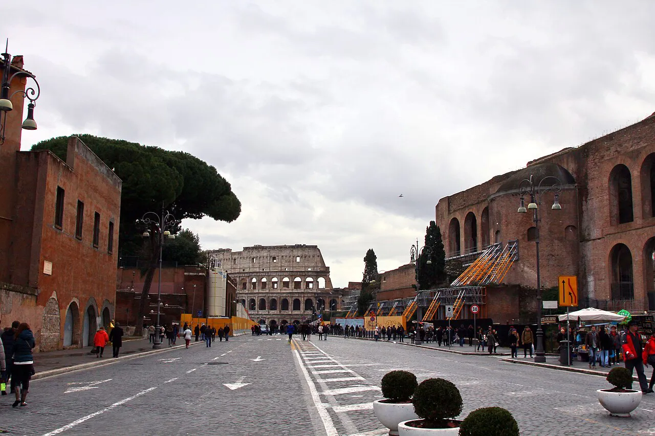 Via dei Fori Imperiali lined with umbrella pines leading to the Colosseum, Rome