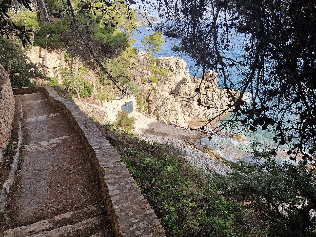 Stone-edged coastal path of the Camí de Ronda winding past pines and rocks at Calella de Palafrugell