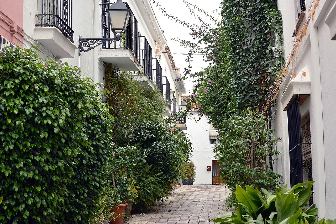 A narrow whitewashed lane lined with potted plants and climbing greenery in Marbella’s old town