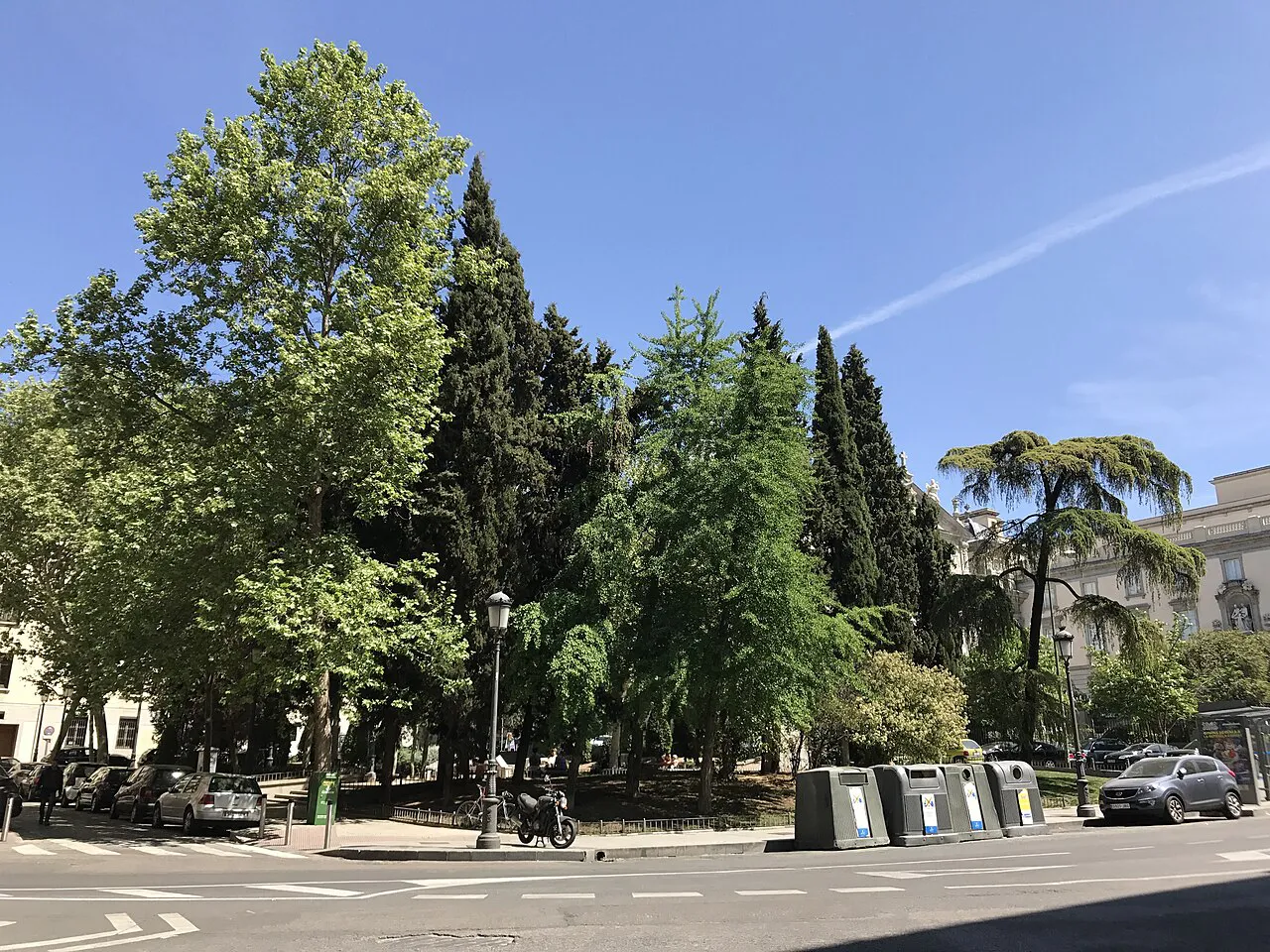 Tall cypresses and leafy trees in the small garden of Plaza de las Salesas, Madrid, under a blue sky