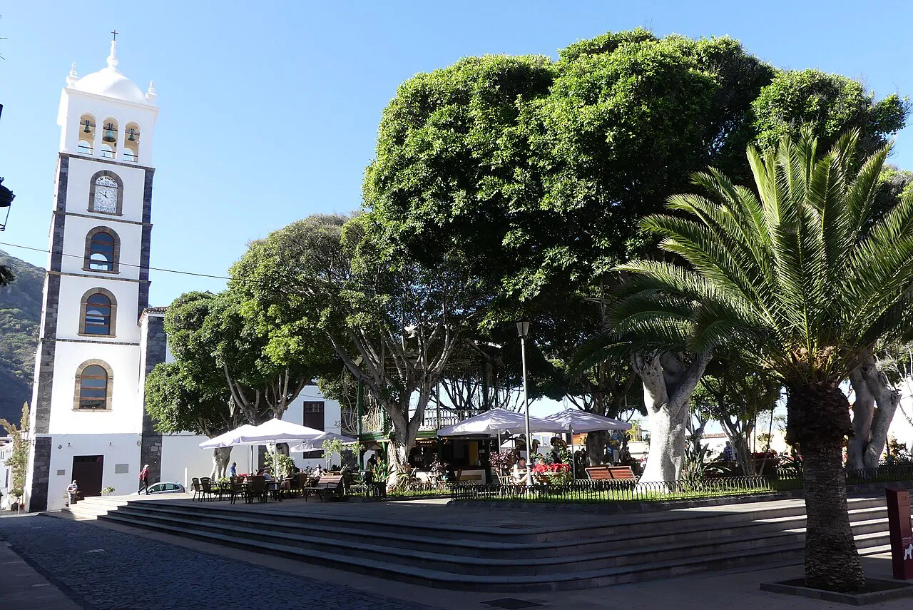 White church bell tower and laurel trees around Plaza de la Libertad in Garachico, Tenerife