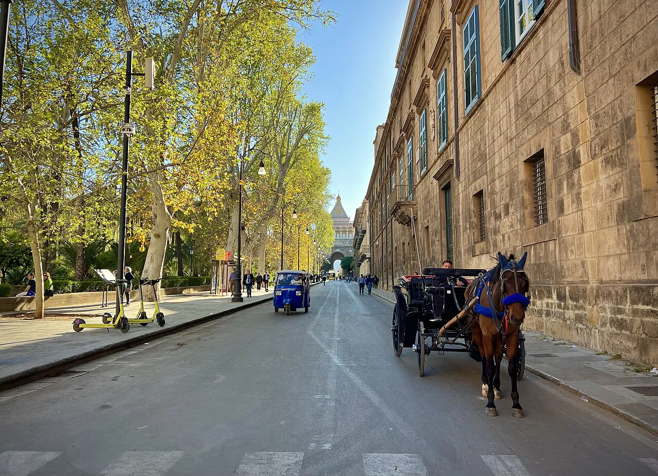 Tree-lined Corso Vittorio Emanuele with a horse-drawn carriage near Porta Nuova, Palermo