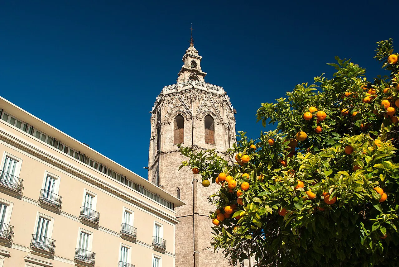 The Micalet bell tower of Valencia Cathedral beside a laden orange tree under a deep blue sky