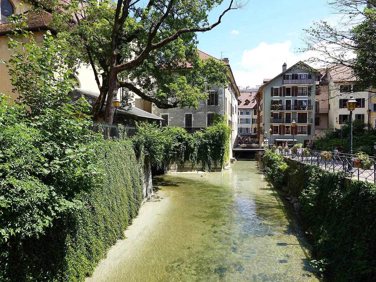 Shallow green stretch of the Thiou between ivy-covered walls and old houses in Annecy