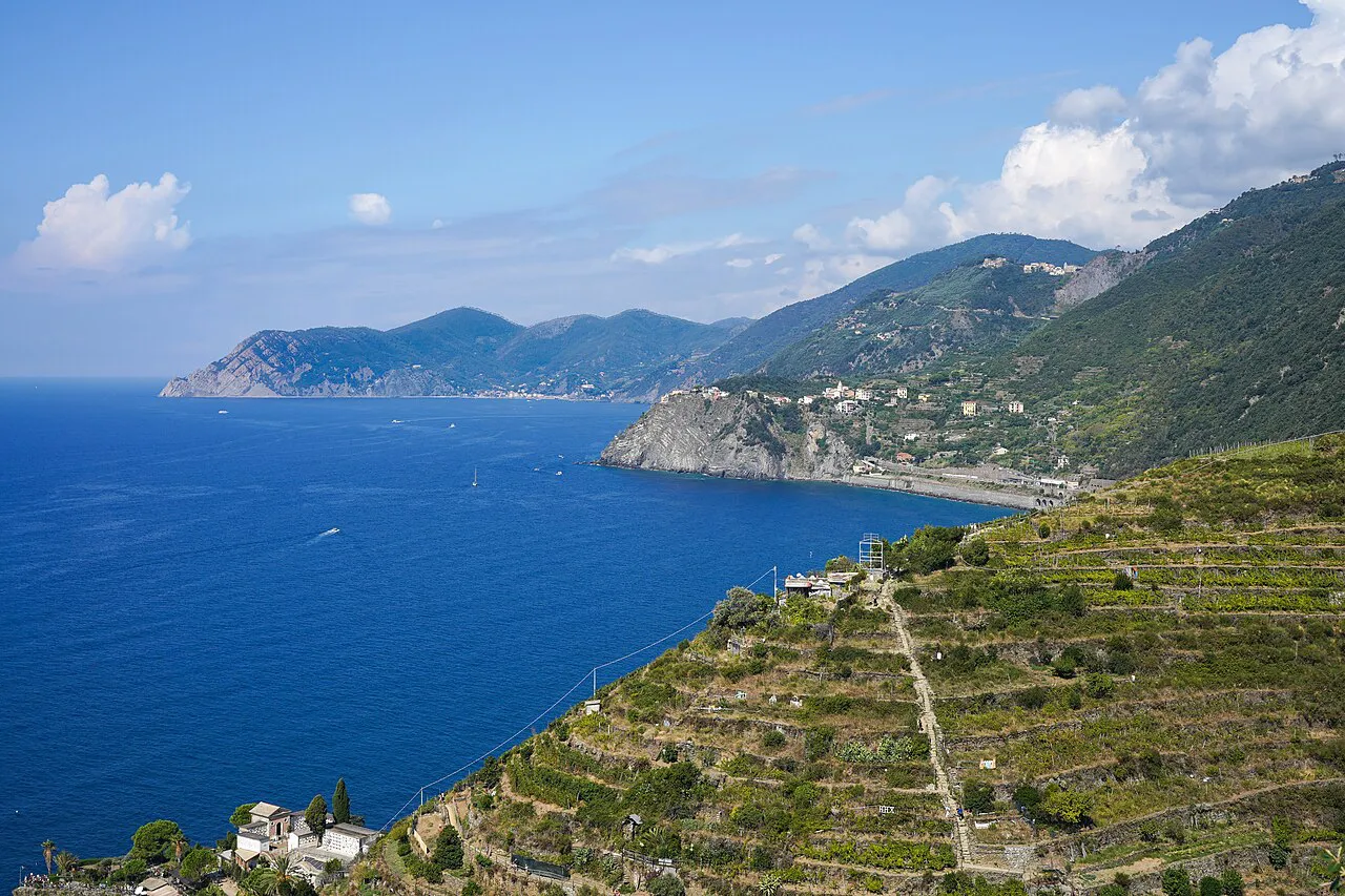 Terraced vineyards above the sea on the Cinque Terre coast north-west of Manarola