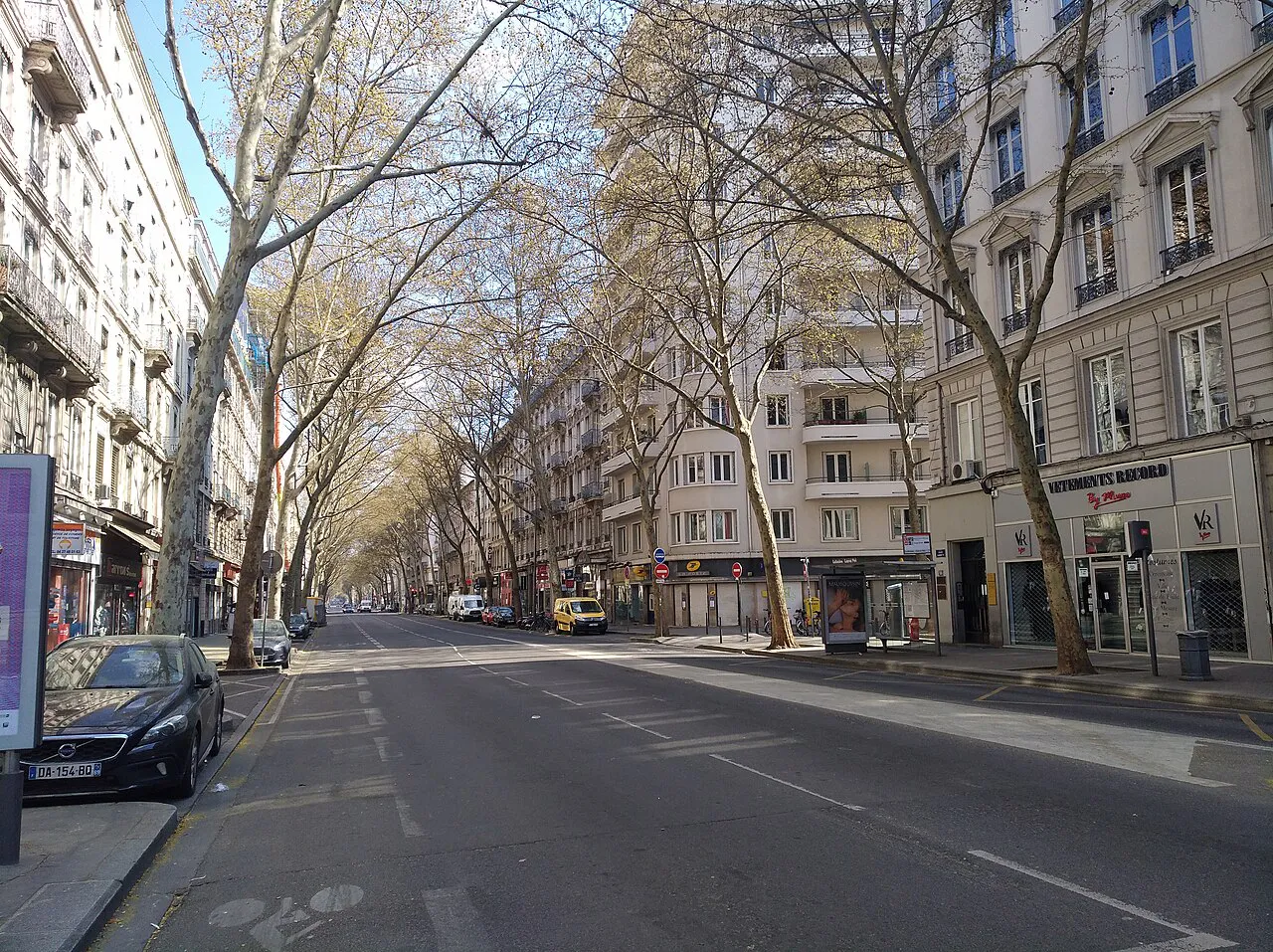 Wide tree-lined Cours Gambetta in Lyon flanked by tall apartment buildings