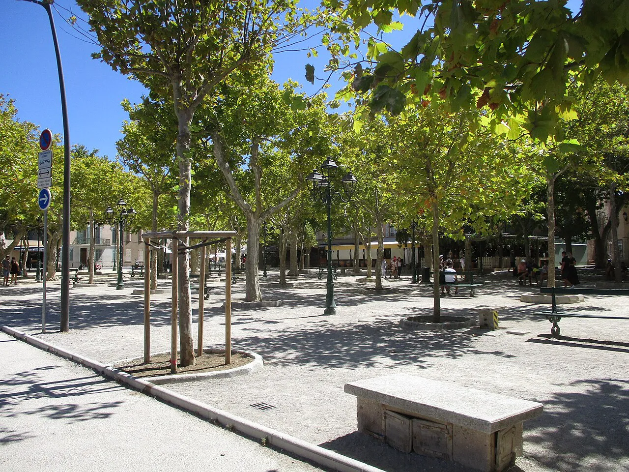 Gravel square shaded by plane trees at Place des Lices in Saint-Tropez
