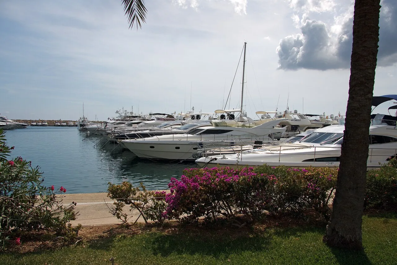 Motor yachts moored in the marina at Puerto Portals, framed by palms and bougainvillea