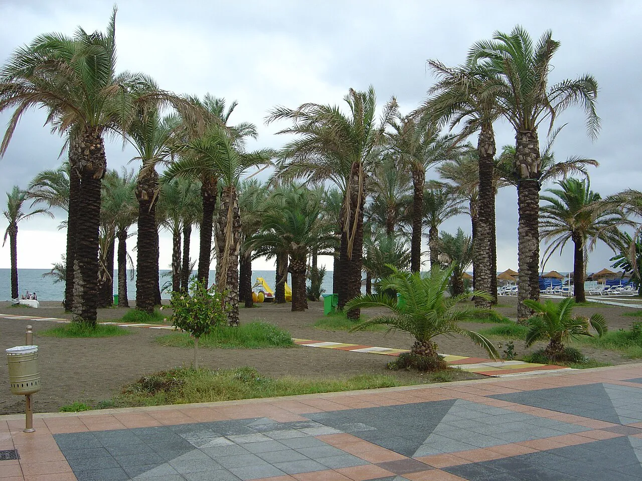 Tall palm trees lining the seafront promenade above La Carihuela beach in Torremolinos