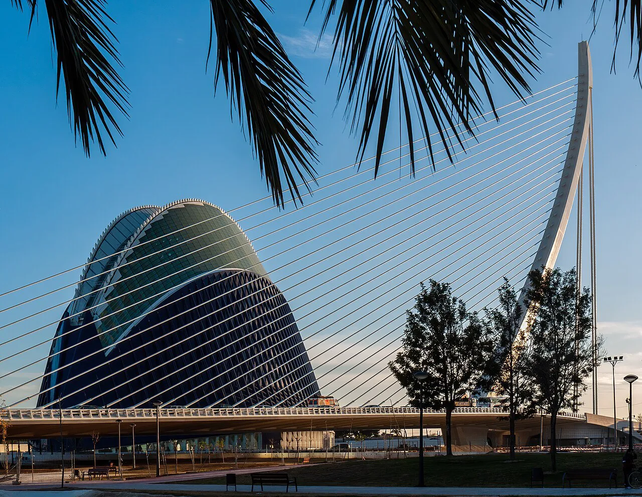 L'Àgora and the white cable-stayed Assut de l'Or bridge framed by palm fronds in Valencia