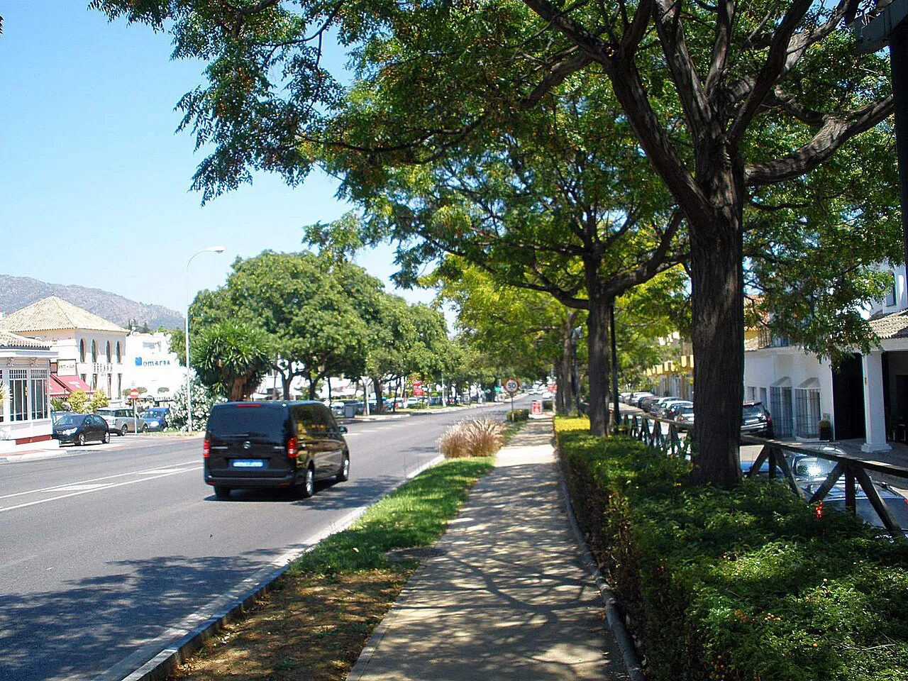 Tree-shaded footpath and planted verge along the Golden Mile avenue (Milla de Oro) in Marbella
