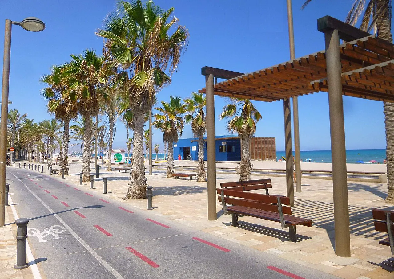 Palm-lined promenade with a cycle lane, benches and shade pergola along Playa de San Juan, Alicante