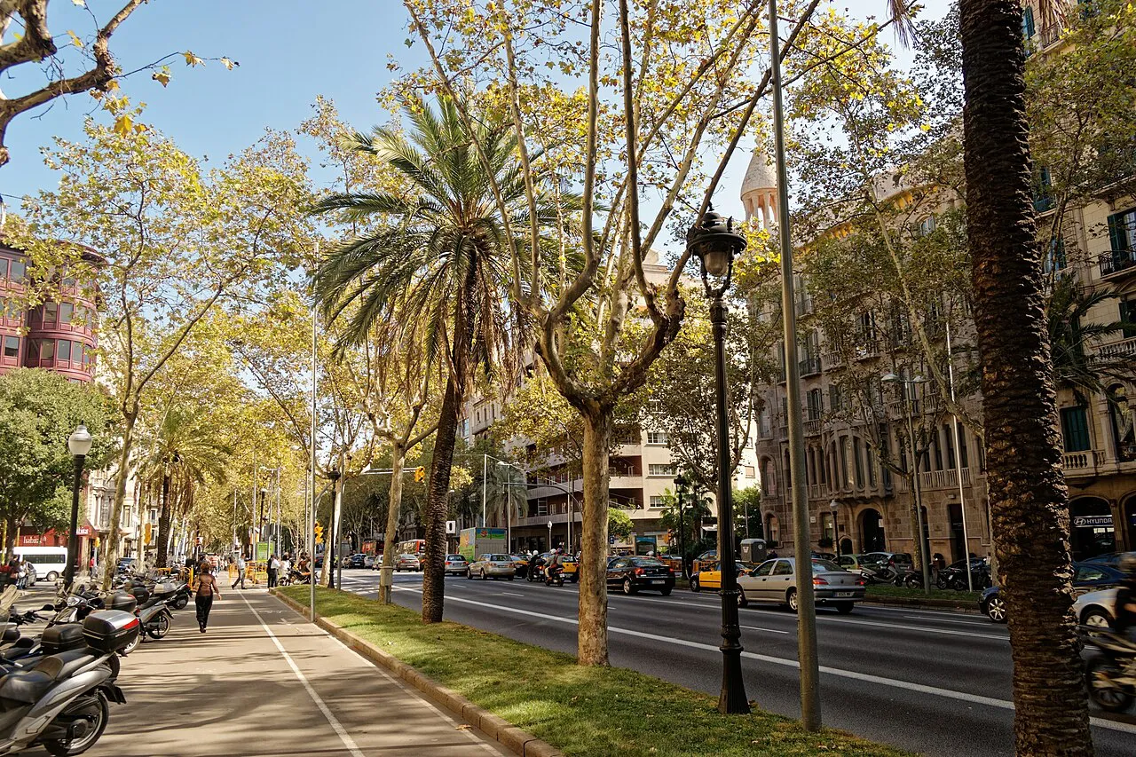 Palm- and plane-tree-lined side lane of Avinguda Diagonal with parked scooters in Barcelona
