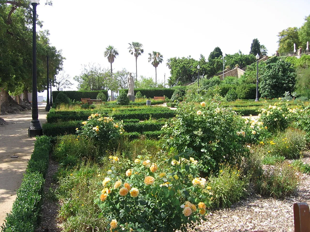 Flowering rose beds and clipped hedges in a garden on Montjuïc hill, Barcelona