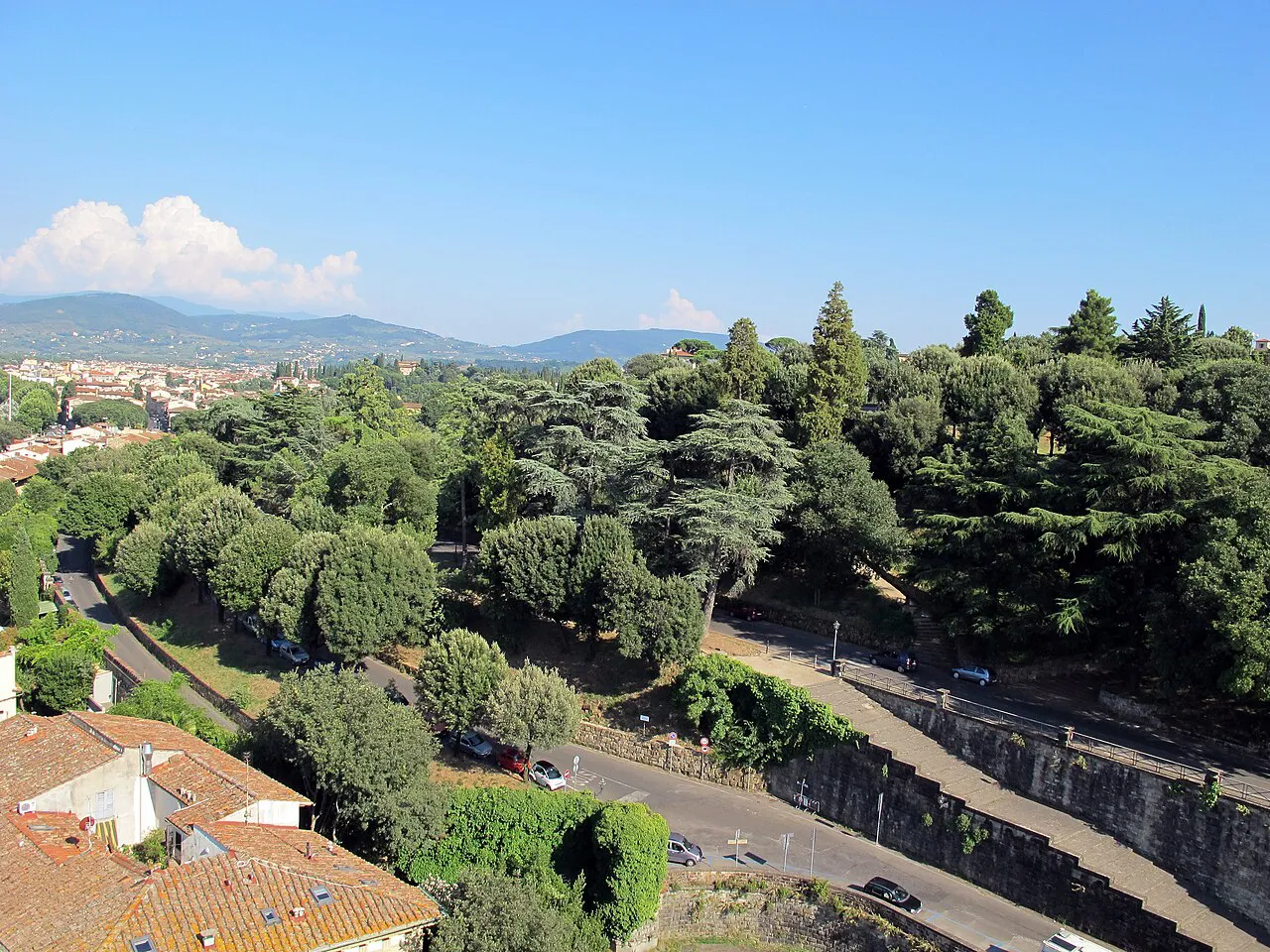 Tree-lined Viale dei Colli winding through green hills above Florence, seen from the San Niccolò tower