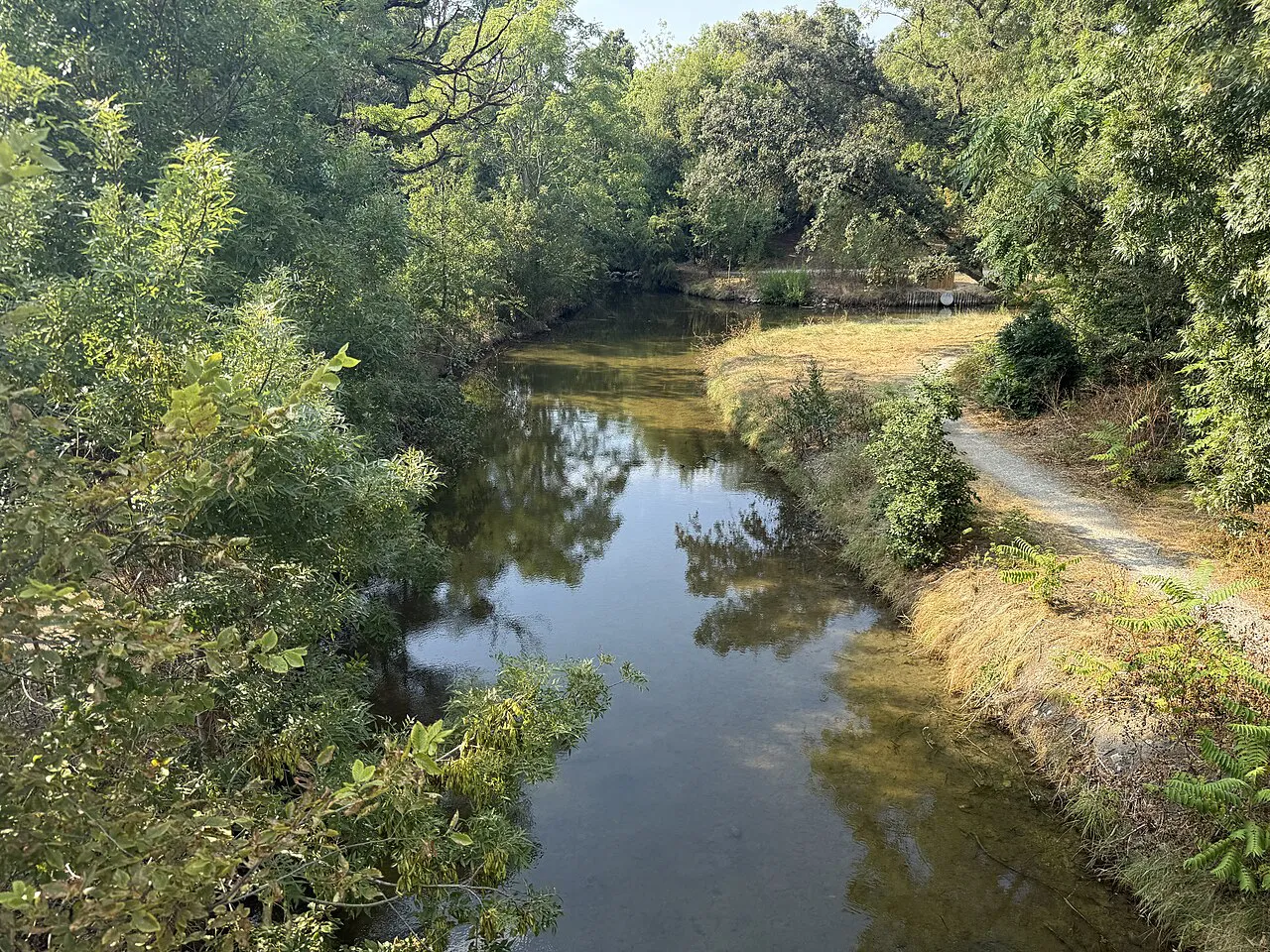 A tree-lined stream winding through the green Parc Charruyer in La Rochelle