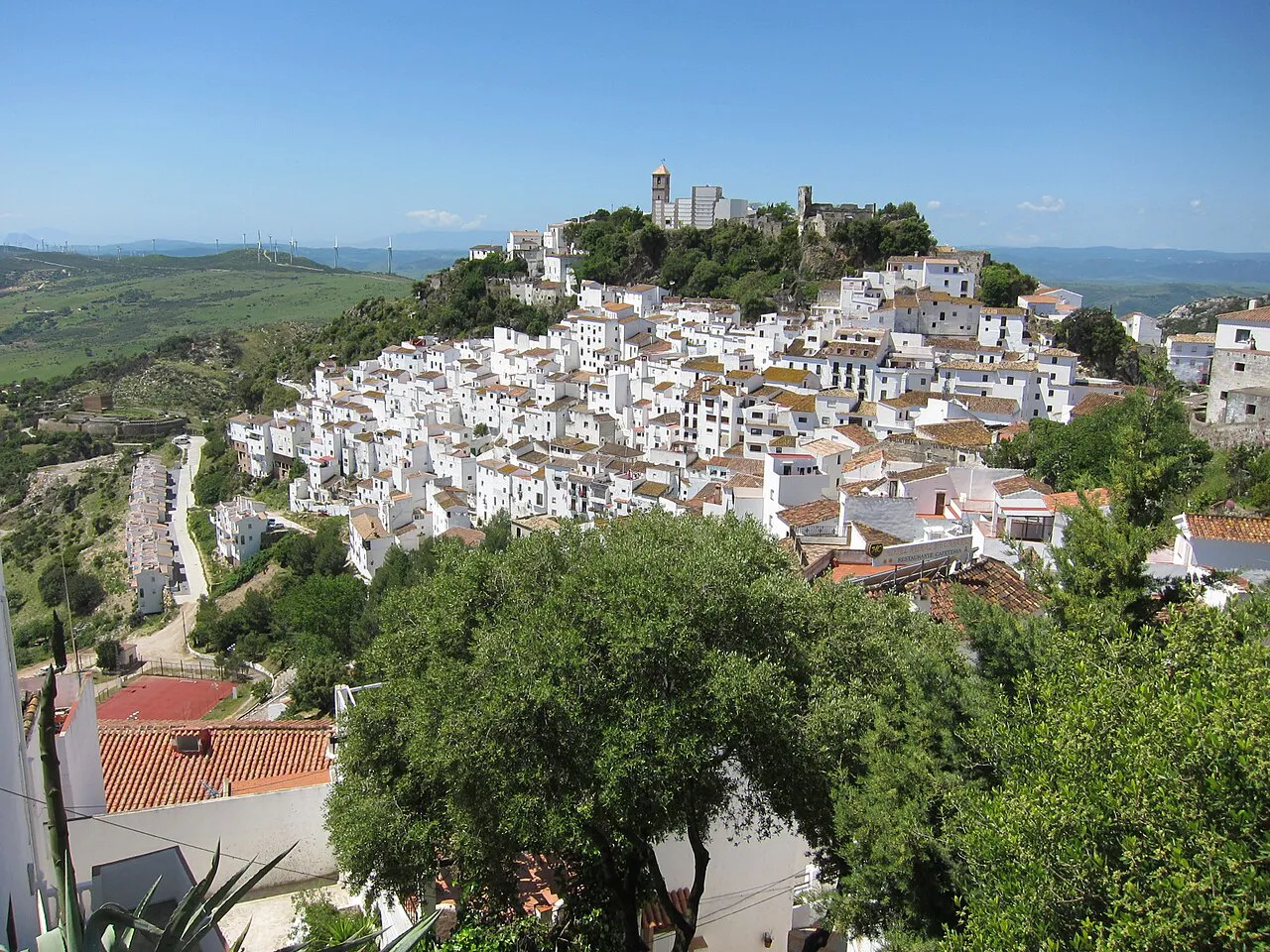 The white hill village of Casares spread below its castle, surrounded by green countryside
