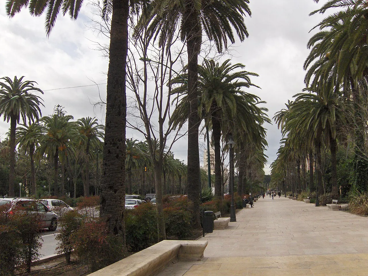 A palm-lined pedestrian walkway along the Paseo del Parque in central Málaga