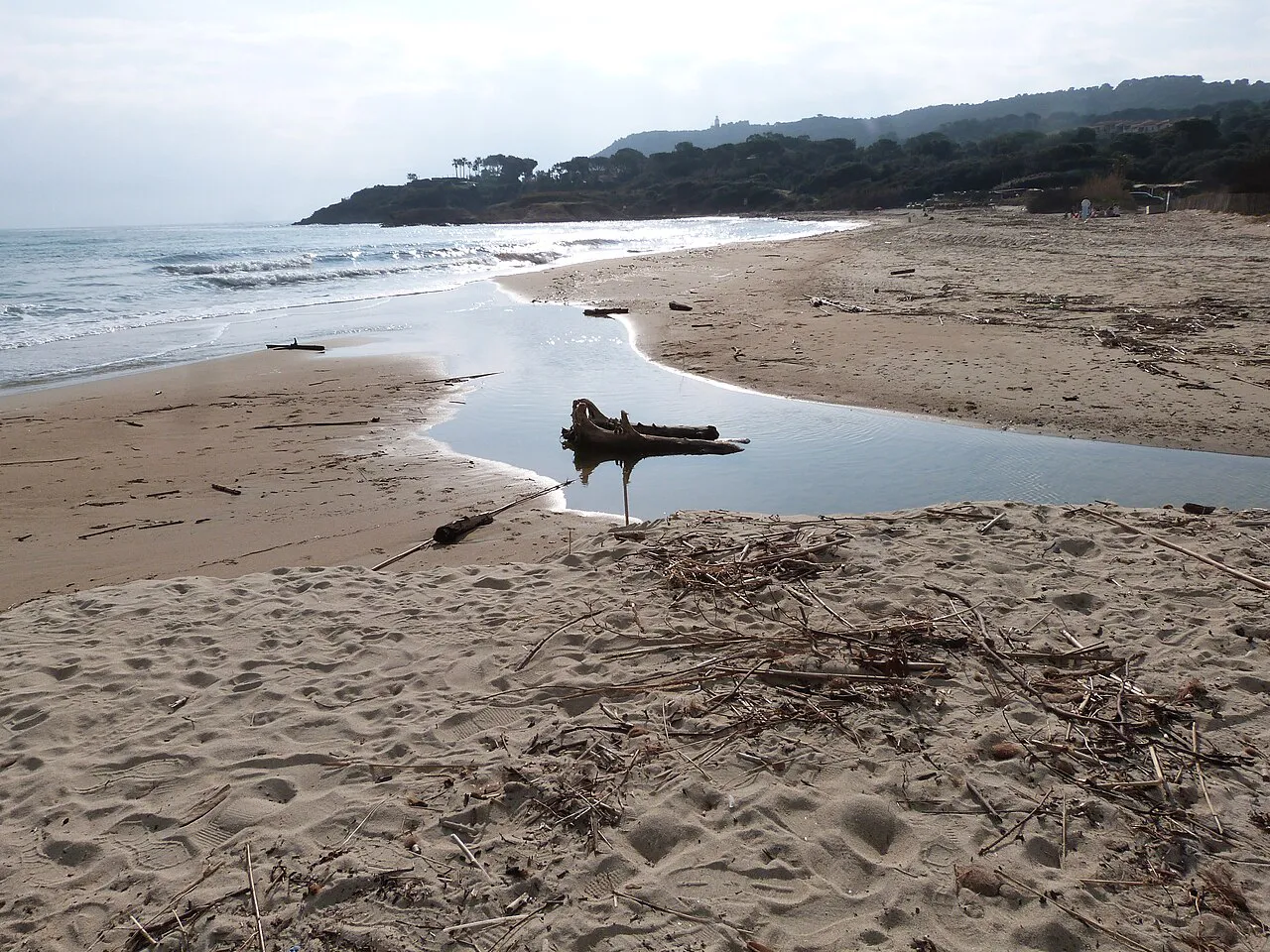 Mouth of the Gros Vallat stream crossing the sand of Pampelonne beach in Ramatuelle, wooded cape behind