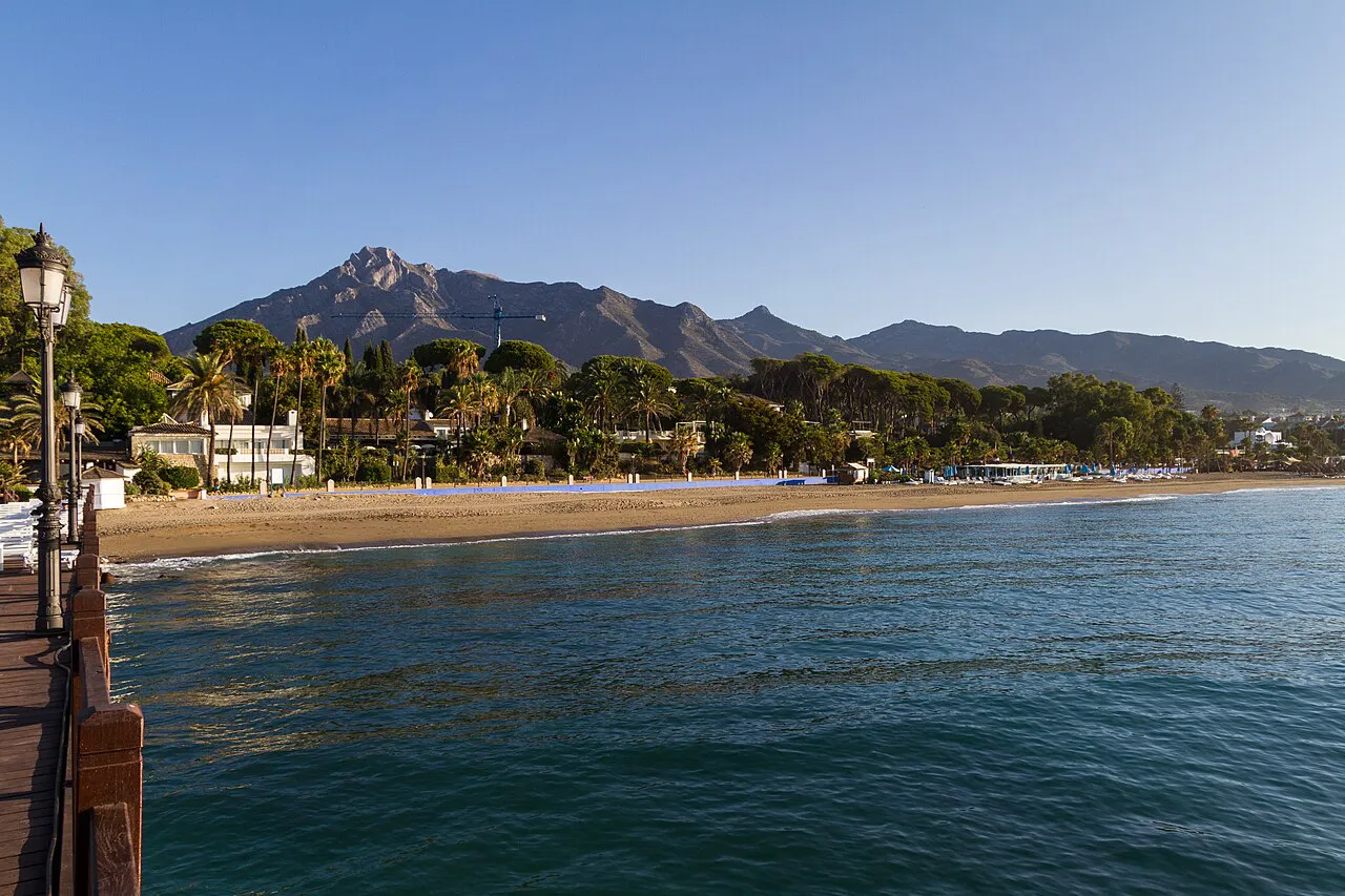 Calm sea and a tree-lined Marbella beach in early morning light, with La Concha mountain behind