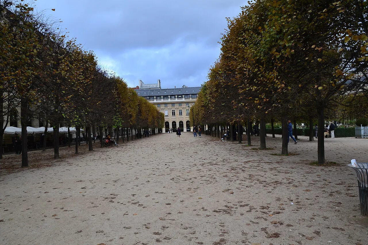 Autumn tree-lined gravel allée in the Jardin du Palais-Royal, Paris