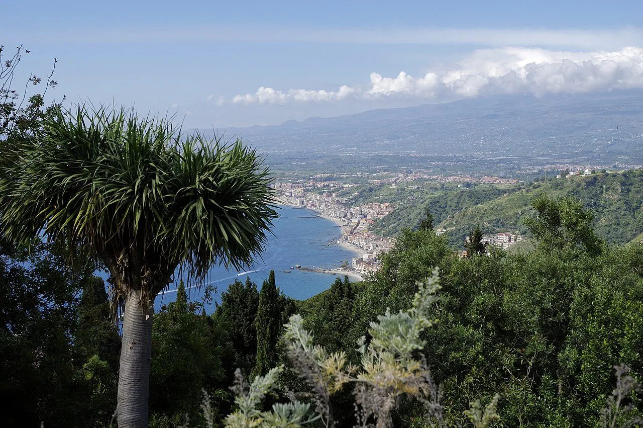 View from Taormina over trees and a dragon tree down to the coast of Giardini-Naxos