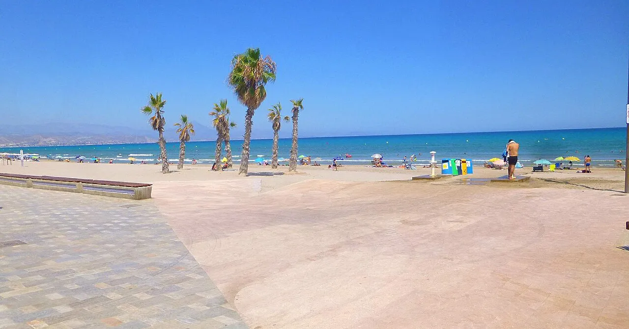 Wide sandy Playa de San Juan in Alicante with palm trees and a paved promenade edge