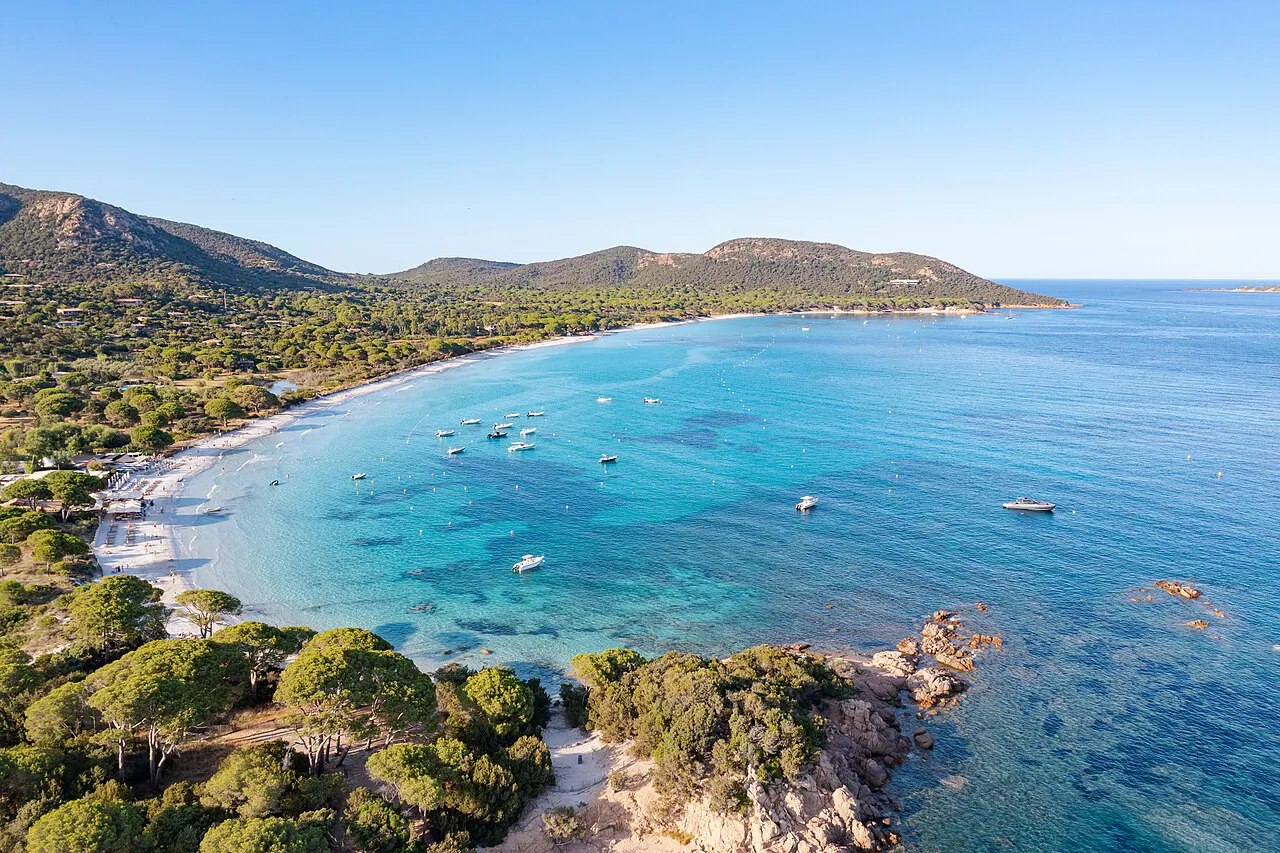 Aerial view of the curving turquoise bay and pale sand of Palombaggia beach in southern Corsica