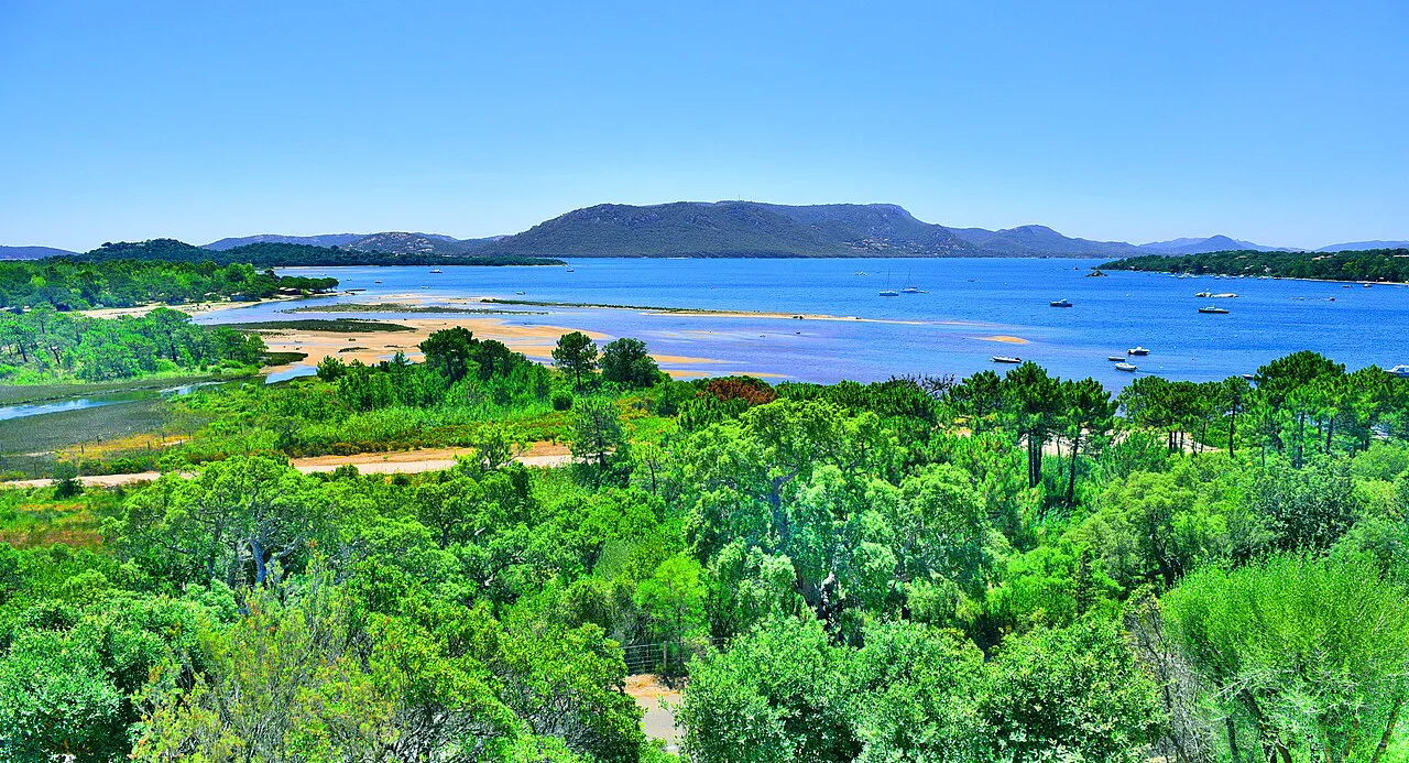 Green maquis and sandy shallows along the Gulf of Porto-Vecchio with hills across the water