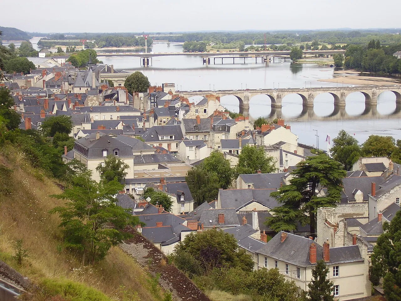Saumur's slate rooftops below the hillside, with stone bridges crossing the Loire