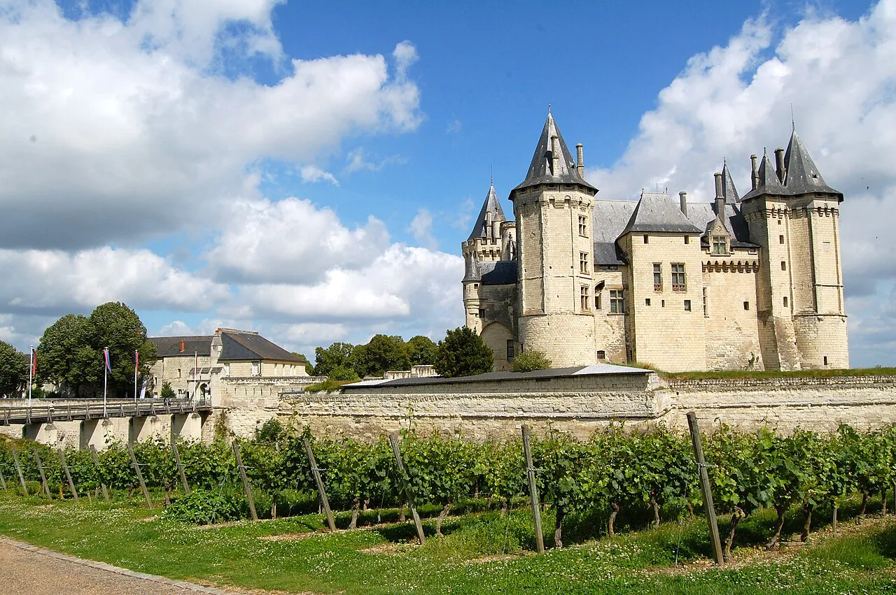 Rows of vines below the white towers of the Château de Saumur under a summer sky