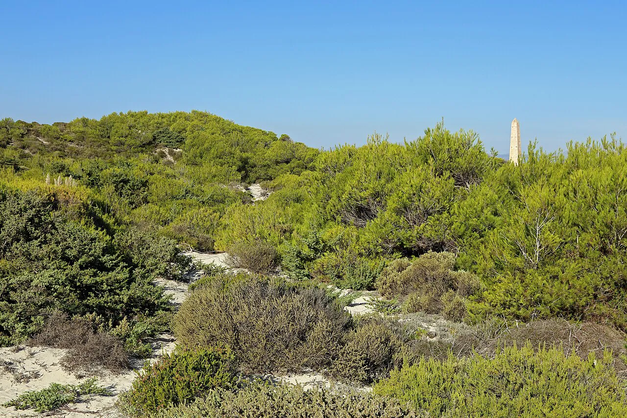 Sandy paths through the scrub-covered dunes behind Platja de Muro on the Bay of Alcúdia