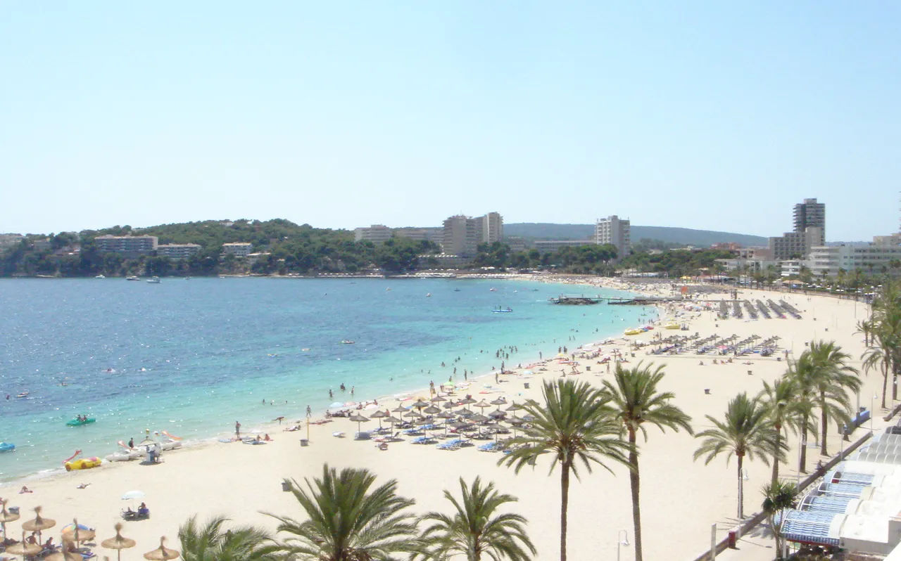 Pale sand, palm trees and clear turquoise water along the beach at Magaluf in Mallorca